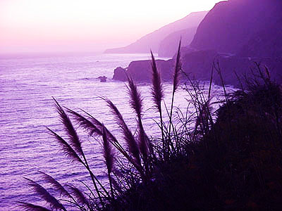 restful state of mind in nature